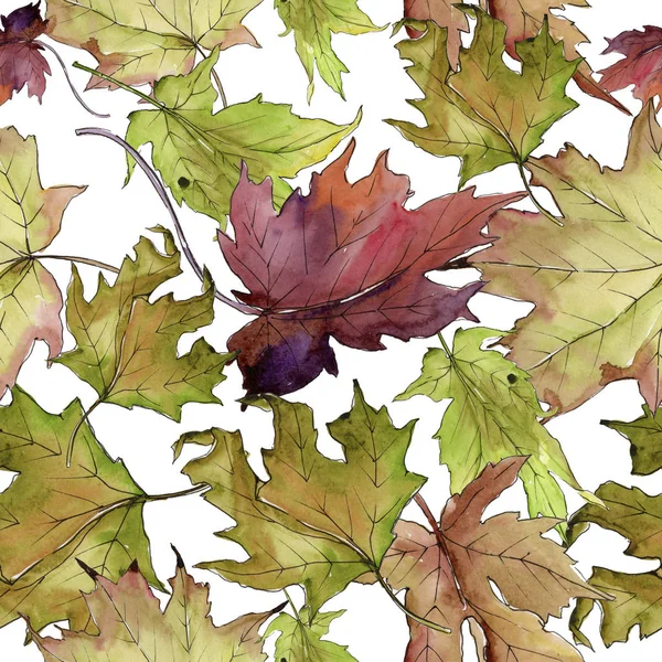 Akçaağaç suluboya tarzında bırakır. Sorunsuz arka plan deseni. Kumaş duvar kağıdı yazdırma doku. Aquarelle yaprak için arka plan, doku, sarıcı desen, çerçeve veya kenarlık.