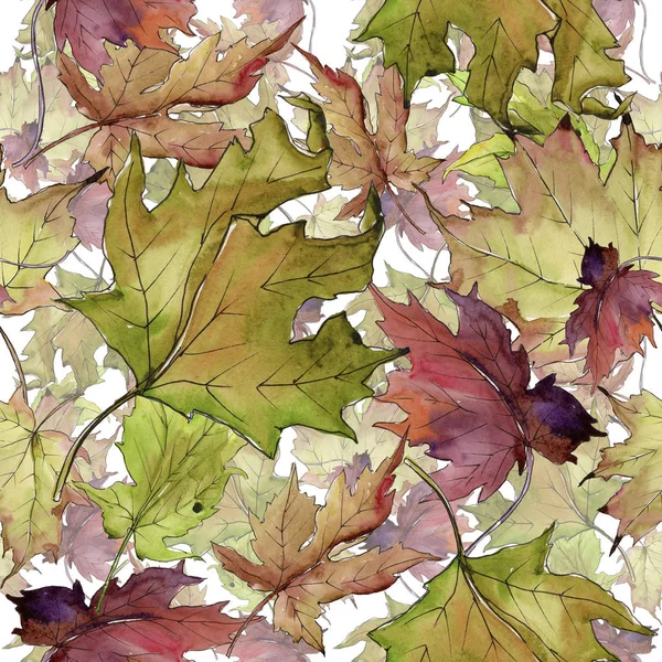 Akçaağaç suluboya tarzında bırakır. Sorunsuz arka plan deseni. Kumaş duvar kağıdı yazdırma doku. Aquarelle yaprak için arka plan, doku, sarıcı desen, çerçeve veya kenarlık.