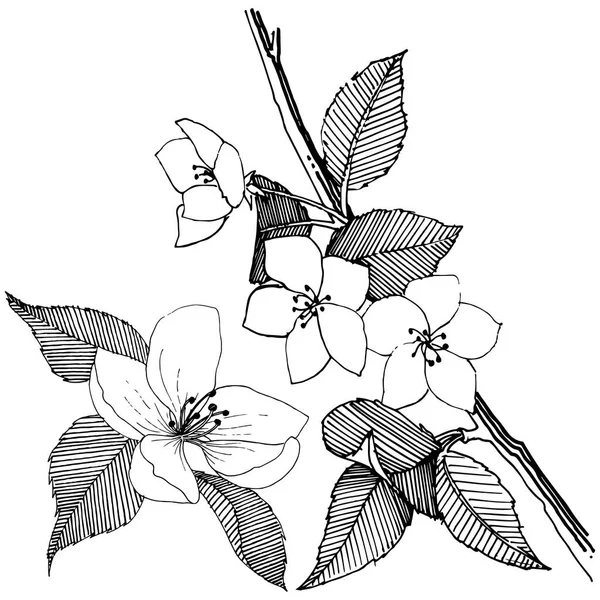 分離ベクトル スタイルでリンゴの木 植物の完全な名前 リンゴの木 テクスチャ ラッパー パターン 枠や図面枠のベクターの花 — ストックベクタ
