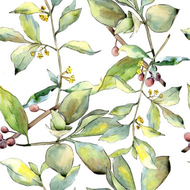 İğde suluboya tarzında bırakır. Sorunsuz arka plan deseni. Kumaş duvar kağıdı yazdırma doku. Aquarelle yaprak için arka plan, doku, sarıcı desen, çerçeve veya kenarlık.