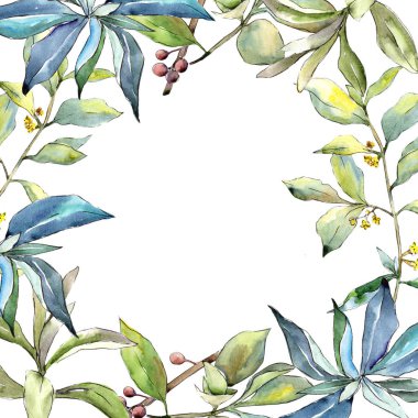 İğde suluboya tarzında bırakır. Çerçeve kenarlığı süsleme Meydanı. Aquarelle yaprak için arka plan, doku, sarıcı desen, çerçeve veya kenarlık.