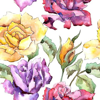 Renkli gül. Botanik çiçek. Sorunsuz arka plan deseni. Kumaş duvar kağıdı yazdırma doku. Arka plan, doku, sarıcı desen, çerçeve veya kenarlık için Aquarelle kır çiçeği.