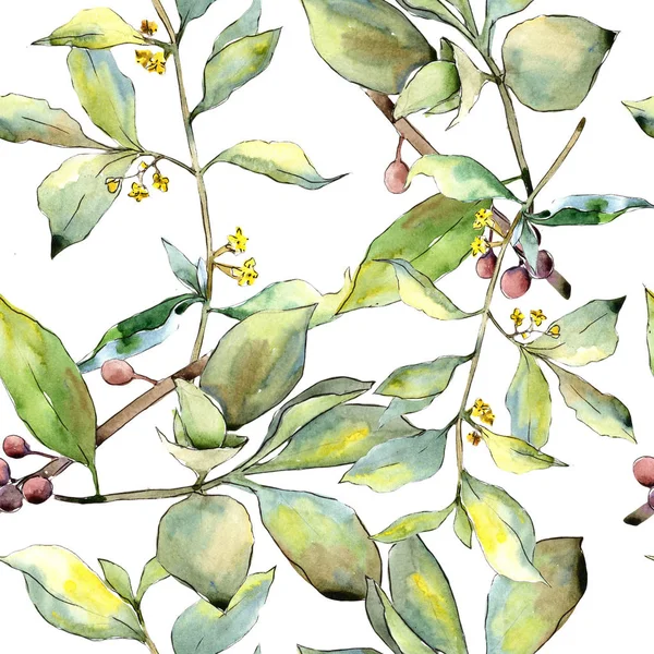 İğde suluboya tarzında bırakır. Sorunsuz arka plan deseni. Kumaş duvar kağıdı yazdırma doku. Aquarelle yaprak için arka plan, doku, sarıcı desen, çerçeve veya kenarlık.