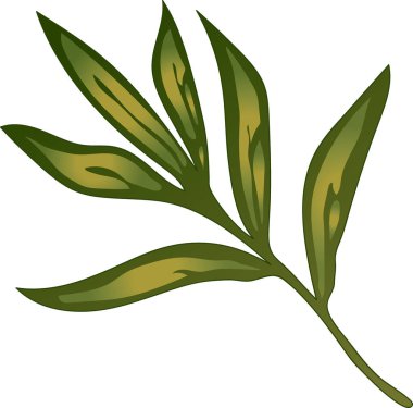 Şakayık yaprak çiçek izole bir vektör tarzı. Bitki tam adı: şakayık. Arka plan, doku, sarıcı desen, çerçeve veya kenarlık için vektör çiçek.