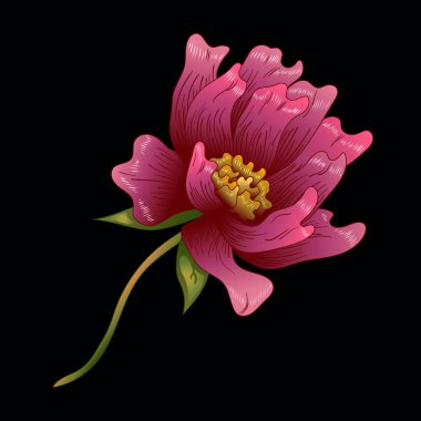 Pembe şakayık çiçeği izole bir vektör tarzı. Bitki tam adı: şakayık. Arka plan, doku, sarıcı desen, çerçeve veya kenarlık için vektör çiçek.