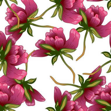 Bir vektör tarzı pembe şakayık çiçeği. Sorunsuz arka plan deseni. Kumaş duvar kağıdı yazdırma doku. Bitki tam adı: şakayık. Arka plan, sarıcı desen, çerçeve veya kenarlık için vektör çiçek.