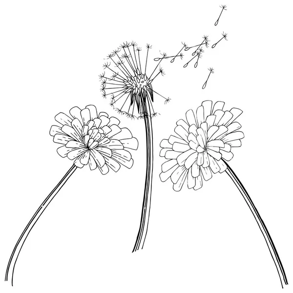 分離されたベクター スタイルのタンポポ 植物の完全な名前 タンポポ テクスチャ ラッパー パターン 枠や図面枠のベクターの花 — ストックベクタ