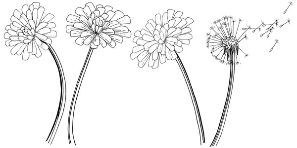 分離されたベクター スタイルのタンポポ 植物の完全な名前 タンポポ テクスチャ ラッパー パターン 枠や図面枠のベクターの花 — ストックベクタ