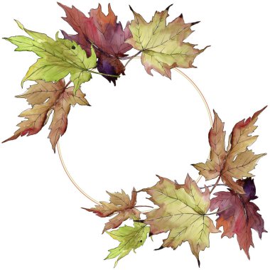 Akçaağaç izole bir suluboya tarzında bırakır. Aquarelle yaprak için arka plan, doku, sarıcı desen, çerçeve veya kenarlık.