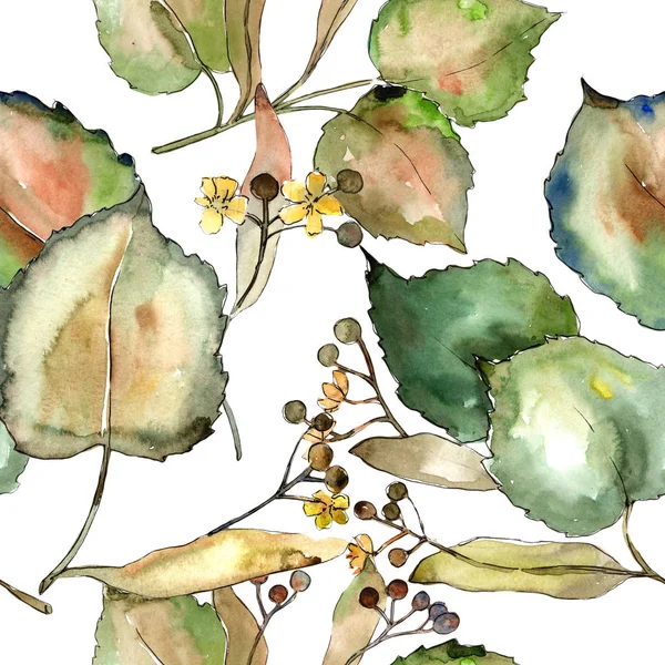 Linden suluboya tarzında bırakır. Sorunsuz arka plan deseni. Kumaş duvar kağıdı yazdırma doku. Aquarelle yaprak için arka plan, doku, sarıcı desen, çerçeve veya kenarlık.