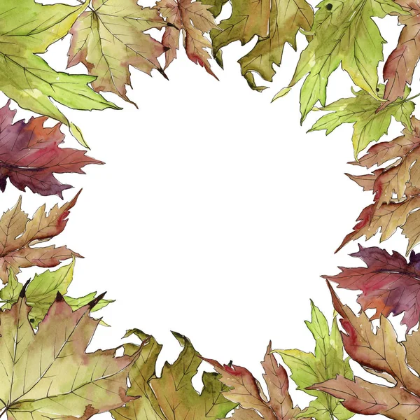 Akçaağaç suluboya tarzında bırakır. Çerçeve kenarlığı süsleme Meydanı. Aquarelle yaprak için arka plan, doku, sarıcı desen, çerçeve veya kenarlık.