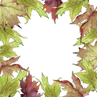 Akçaağaç suluboya tarzında bırakır. Çerçeve kenarlığı süsleme Meydanı. Aquarelle yaprak için arka plan, doku, sarıcı desen, çerçeve veya kenarlık.