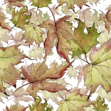 Akçaağaç suluboya tarzında bırakır. Sorunsuz arka plan deseni. Kumaş duvar kağıdı yazdırma doku. Aquarelle yaprak için arka plan, doku, sarıcı desen, çerçeve veya kenarlık.
