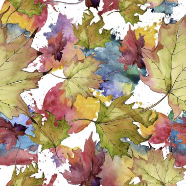 Akçaağaç suluboya tarzında bırakır. Sorunsuz arka plan deseni. Kumaş duvar kağıdı yazdırma doku. Aquarelle yaprak için arka plan, doku, sarıcı desen, çerçeve veya kenarlık.
