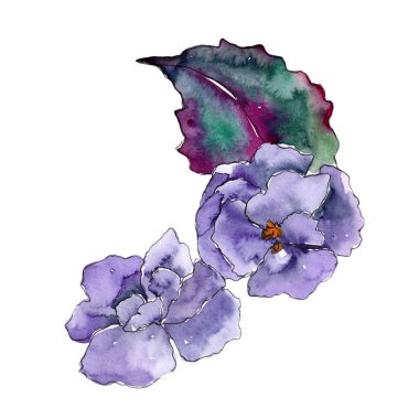 Gardenya. Botanik çiçek. Vahşi bahar yaprak izole kır çiçeği. Arka plan, doku, sarıcı desen, çerçeve veya kenarlık için Aquarelle kır çiçeği.