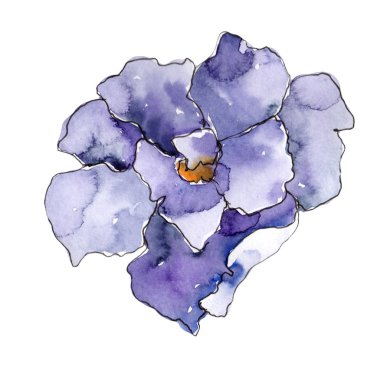 Gardenya. Botanik çiçek. Vahşi bahar yaprak izole kır çiçeği. Arka plan, doku, sarıcı desen, çerçeve veya kenarlık için Aquarelle kır çiçeği.