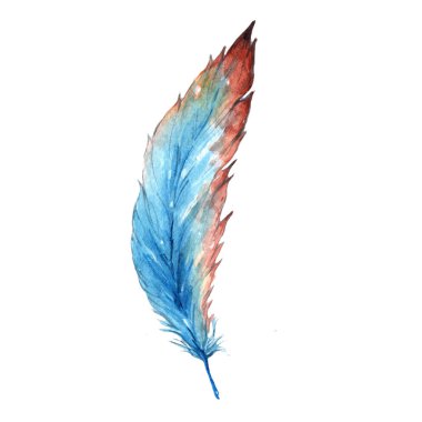 Suluboya kuş tüyü izole Wing. Aquarelle tüy için arka plan, doku, sarıcı desen, çerçeve veya kenarlık.