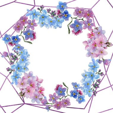 Renkli myosotis. Botanik çiçek. Çerçeve kenarlığı süsleme Meydanı. Arka plan, doku, sarıcı desen, çerçeve veya kenarlık için Aquarelle kır çiçeği.