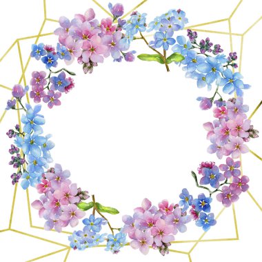 Renkli myosotis. Botanik çiçek. Çerçeve kenarlığı süsleme Meydanı. Arka plan, doku, sarıcı desen, çerçeve veya kenarlık için Aquarelle kır çiçeği.