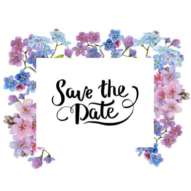 Renkli myosotis. Botanik çiçek. Çerçeve kenarlığı süsleme Meydanı. Arka plan, doku, sarıcı desen, çerçeve veya kenarlık için Aquarelle kır çiçeği.