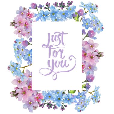 Renkli myosotis. Botanik çiçek. Çerçeve kenarlığı süsleme Meydanı. Arka plan, doku, sarıcı desen, çerçeve veya kenarlık için Aquarelle kır çiçeği.