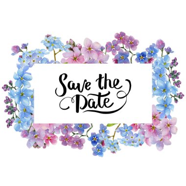 Renkli myosotis. Botanik çiçek. Çerçeve kenarlığı süsleme Meydanı. Arka plan, doku, sarıcı desen, çerçeve veya kenarlık için Aquarelle kır çiçeği.