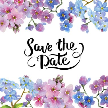 Renkli myosotis. Botanik çiçek. Çerçeve kenarlığı süsleme Meydanı. Arka plan, doku, sarıcı desen, çerçeve veya kenarlık için Aquarelle kır çiçeği.