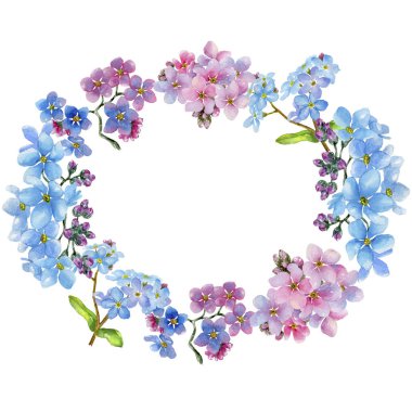 Renkli myosotis. Botanik çiçek. Çerçeve kenarlığı süsleme Meydanı. Arka plan, doku, sarıcı desen, çerçeve veya kenarlık için Aquarelle kır çiçeği.