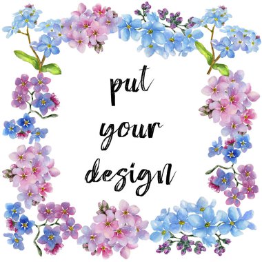 Renkli myosotis. Botanik çiçek. Çerçeve kenarlığı süsleme Meydanı. Arka plan, doku, sarıcı desen, çerçeve veya kenarlık için Aquarelle kır çiçeği.