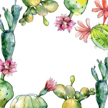 Yeşil tropikal kaktüs. Botanik çiçek. Çerçeve kenarlığı süsleme Meydanı. Arka plan, doku, sarıcı desen, çerçeve veya kenarlık için Aquarelle kır çiçeği.