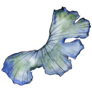 Ginkgo yaprağı izole bir suluboya tarzında. Aquarelle yaprak için arka plan, doku, sarıcı desen, çerçeve veya kenarlık.