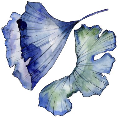 Ginkgo izole bir suluboya tarzında bırakır. Aquarelle yaprak için arka plan, doku, sarıcı desen, çerçeve veya kenarlık.