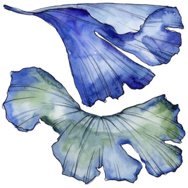 Ginkgo izole bir suluboya tarzında bırakır. Aquarelle yaprak için arka plan, doku, sarıcı desen, çerçeve veya kenarlık.