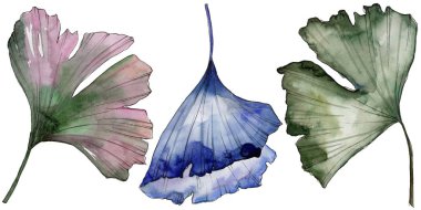 Ginkgo izole bir suluboya tarzında bırakır. Aquarelle yaprak için arka plan, doku, sarıcı desen, çerçeve veya kenarlık.