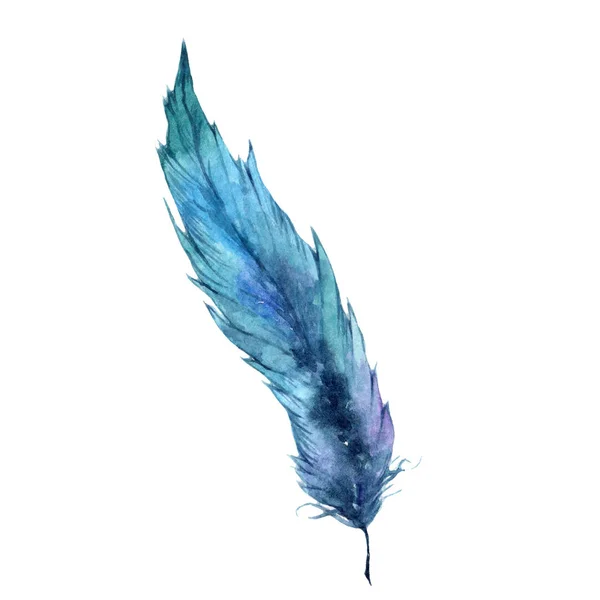 Watercolor Bird Feather Wing Isolated Aquarelle Feather Background Texture Wrapper — Stock Photo, Image