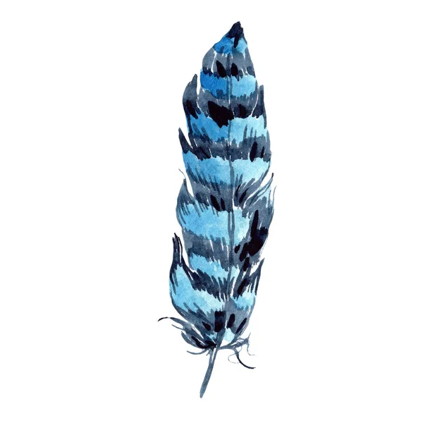 Aquarell Vogelfeder Vom Flügel Isoliert Aquarellfeder Für Hintergrund Textur Wickelmuster — Stockfoto