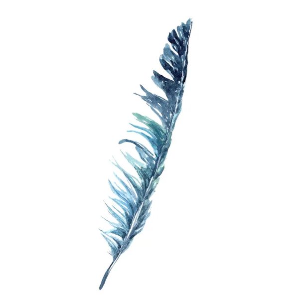 Akvarelu Ptačí Pírko Křídla Samostatný Aquarelle Peří Pro Pozadí Textura — Stock fotografie