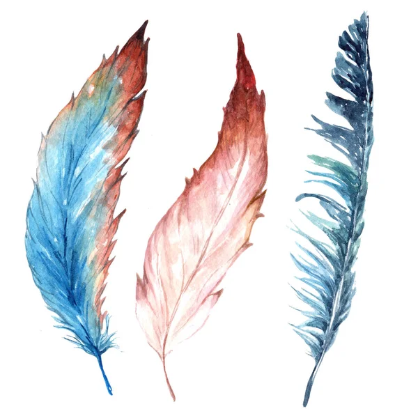 Watercolor Bird Feather Wing Isolated Aquarelle Feather Background Texture Wrapper — Stock Photo, Image