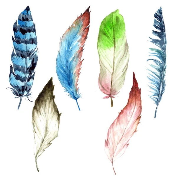 Watercolor Bird Feather Wing Isolated Aquarelle Feather Background Texture Wrapper — Stock Photo, Image