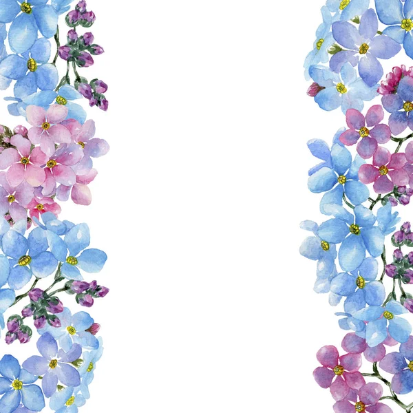 Miososi Colorata Fiore Botanico Floreale Quadrato Ornamento Bordo Cornice Fiordaliso — Foto Stock