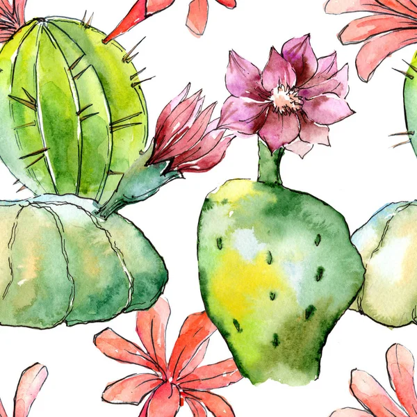 Zelených Tropických Kaktusů Květinové Botanické Květin Vzor Bezešvé Pozadí Fabric — Stock fotografie