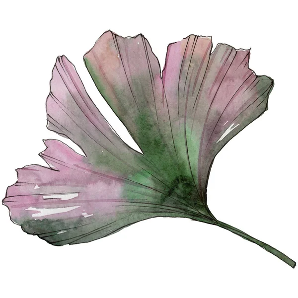 Ginkgo yaprağı izole bir suluboya tarzında. Aquarelle yaprak için arka plan, doku, sarıcı desen, çerçeve veya kenarlık.