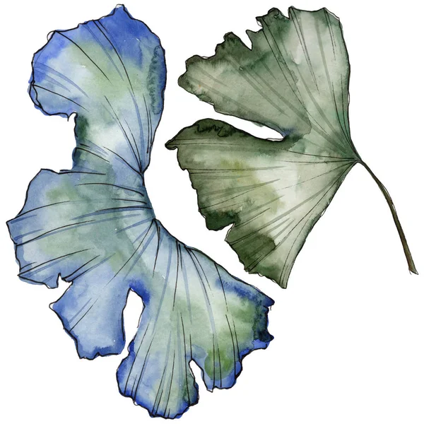 Ginkgo izole bir suluboya tarzında bırakır. Aquarelle yaprak için arka plan, doku, sarıcı desen, çerçeve veya kenarlık.