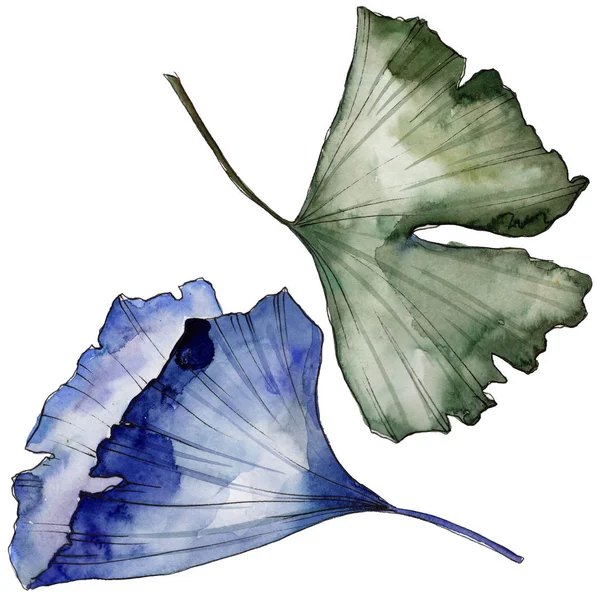 Ginkgo izole bir suluboya tarzında bırakır. Aquarelle yaprak için arka plan, doku, sarıcı desen, çerçeve veya kenarlık.