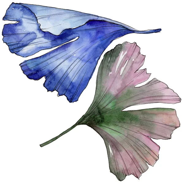 Ginkgo izole bir suluboya tarzında bırakır. Aquarelle yaprak için arka plan, doku, sarıcı desen, çerçeve veya kenarlık.