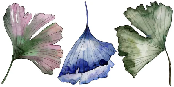 Ginkgo izole bir suluboya tarzında bırakır. Aquarelle yaprak için arka plan, doku, sarıcı desen, çerçeve veya kenarlık.