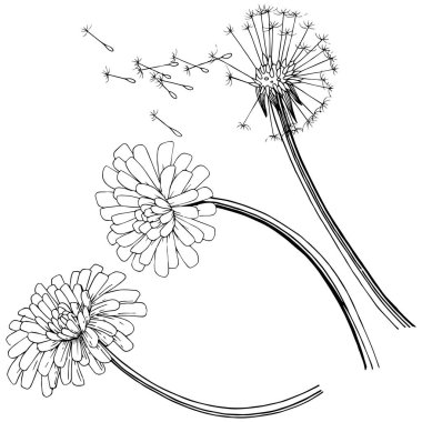 Karahindiba izole bir vektör tarzı. Bitki tam adı: karahindiba. Arka plan, doku, sarıcı desen, çerçeve veya kenarlık için vektör çiçek.