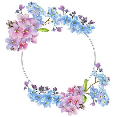 Renkli myosotis. Botanik çiçek. Çerçeve kenarlığı süsleme Meydanı. Arka plan, doku, sarıcı desen, çerçeve veya kenarlık için Aquarelle kır çiçeği.