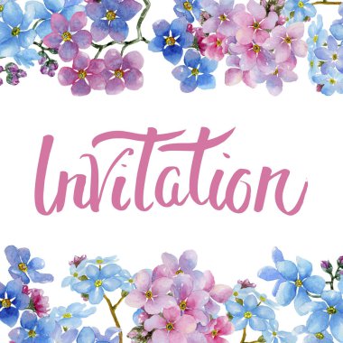 Renkli myosotis. Botanik çiçek. Çerçeve kenarlığı süsleme Meydanı. Arka plan, doku, sarıcı desen, çerçeve veya kenarlık için Aquarelle kır çiçeği.