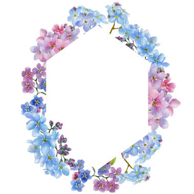 Renkli myosotis. Botanik çiçek. Çerçeve kenarlığı süsleme Meydanı. Arka plan, doku, sarıcı desen, çerçeve veya kenarlık için Aquarelle kır çiçeği.